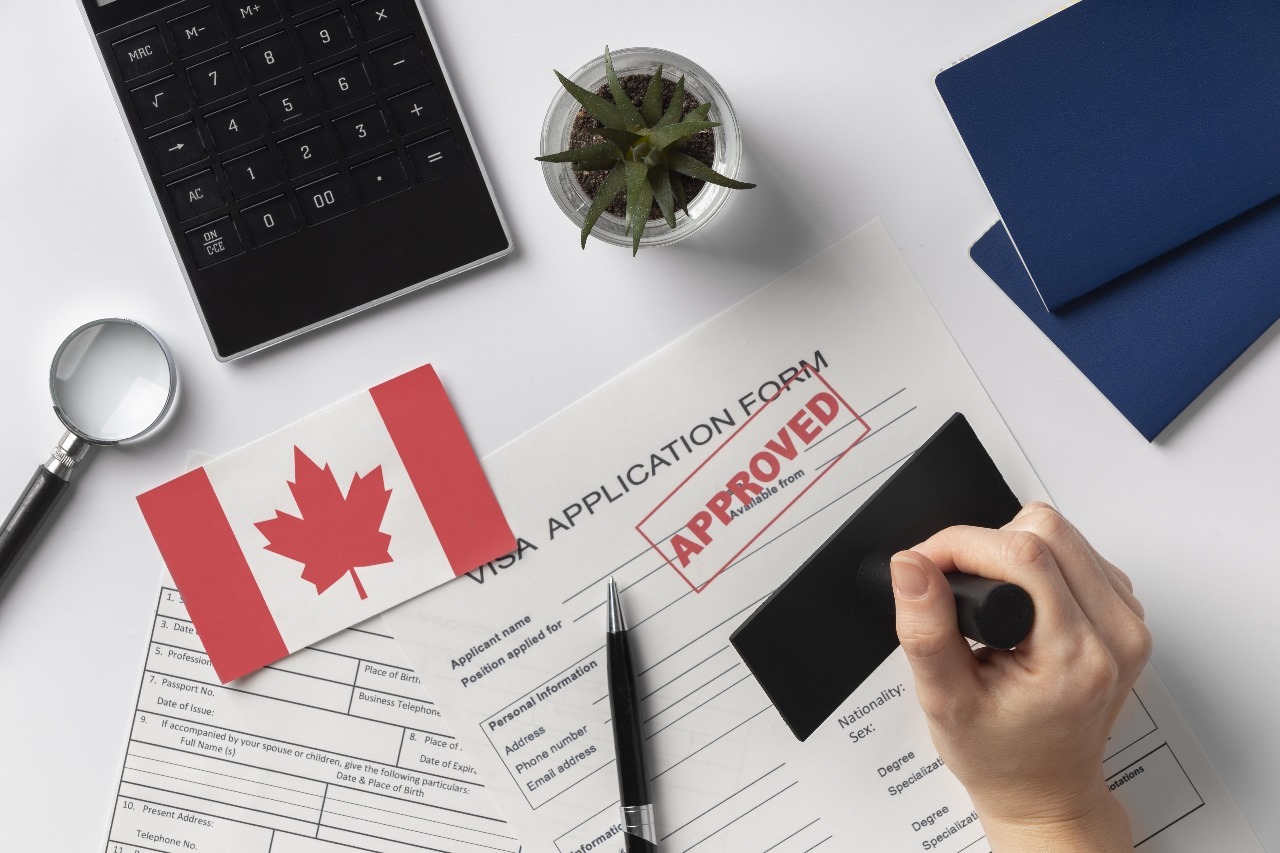 How to Apply for a Study Visa with Help from Visa Consultants
